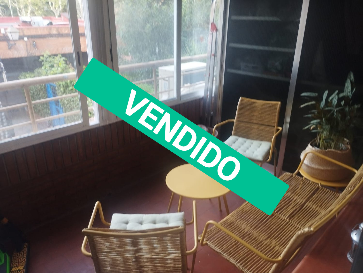 latina-vendida2